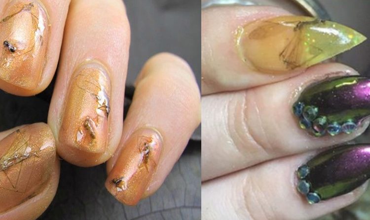 Nail Art con insetti: la bizzarra moda che fa discutere