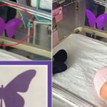 Quando vedi una farfalla viola su una culla, non fare domande alla mamma. Ecco il motivo.
