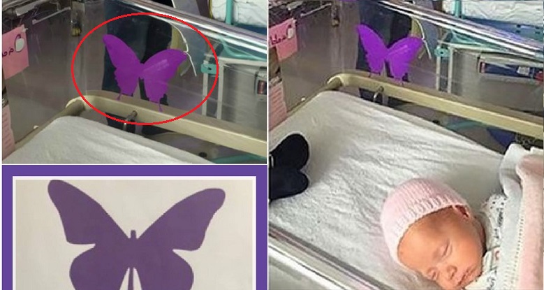 Quando vedi una farfalla viola su una culla, non fare domande alla mamma. Ecco il motivo.